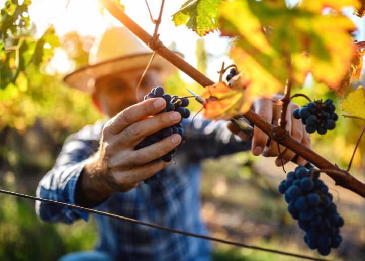 Scopri le idee per un weekend in Italia fuori stagione: mare d’autunno, vendemmia, castagne e foliage tra settembre e ottobre.