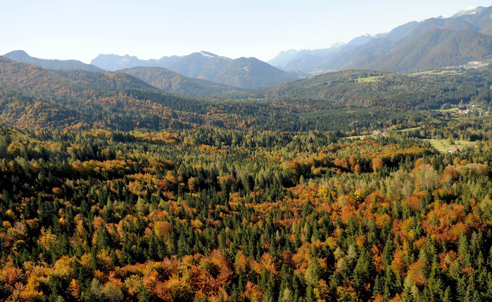 Autunno a Tarvisio significa immergersi in un paesaggio incantato dove i boschi si tingono di rosso, giallo e oro.