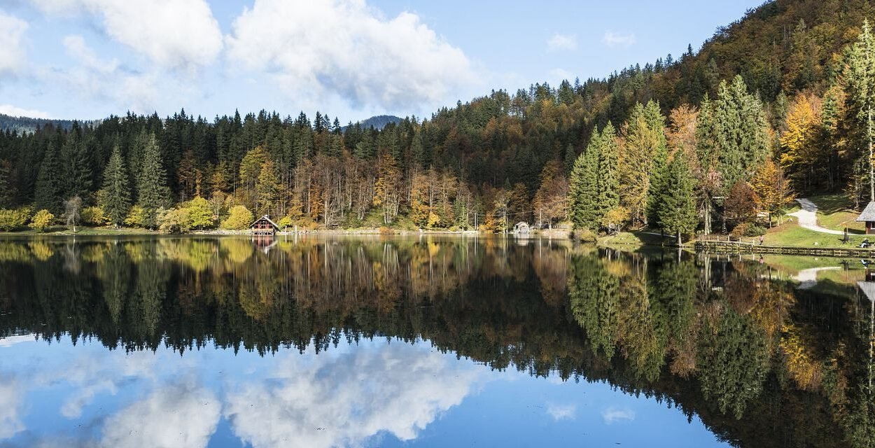 foliage in Friuli