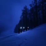 viaggiarenews Freedome