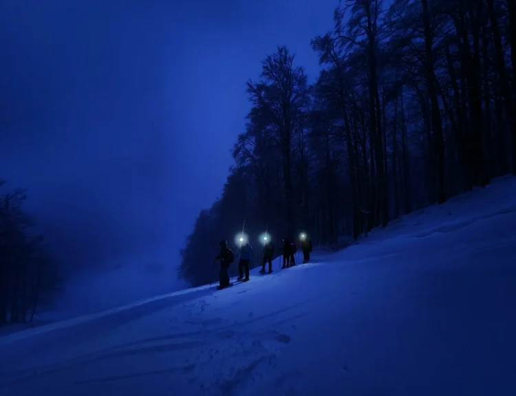 viaggiarenews Freedome