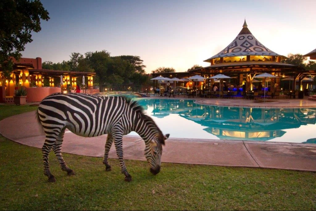 Un viaggio tra lusso, safari e natura in Zambia e Zimbabwe con Controvento