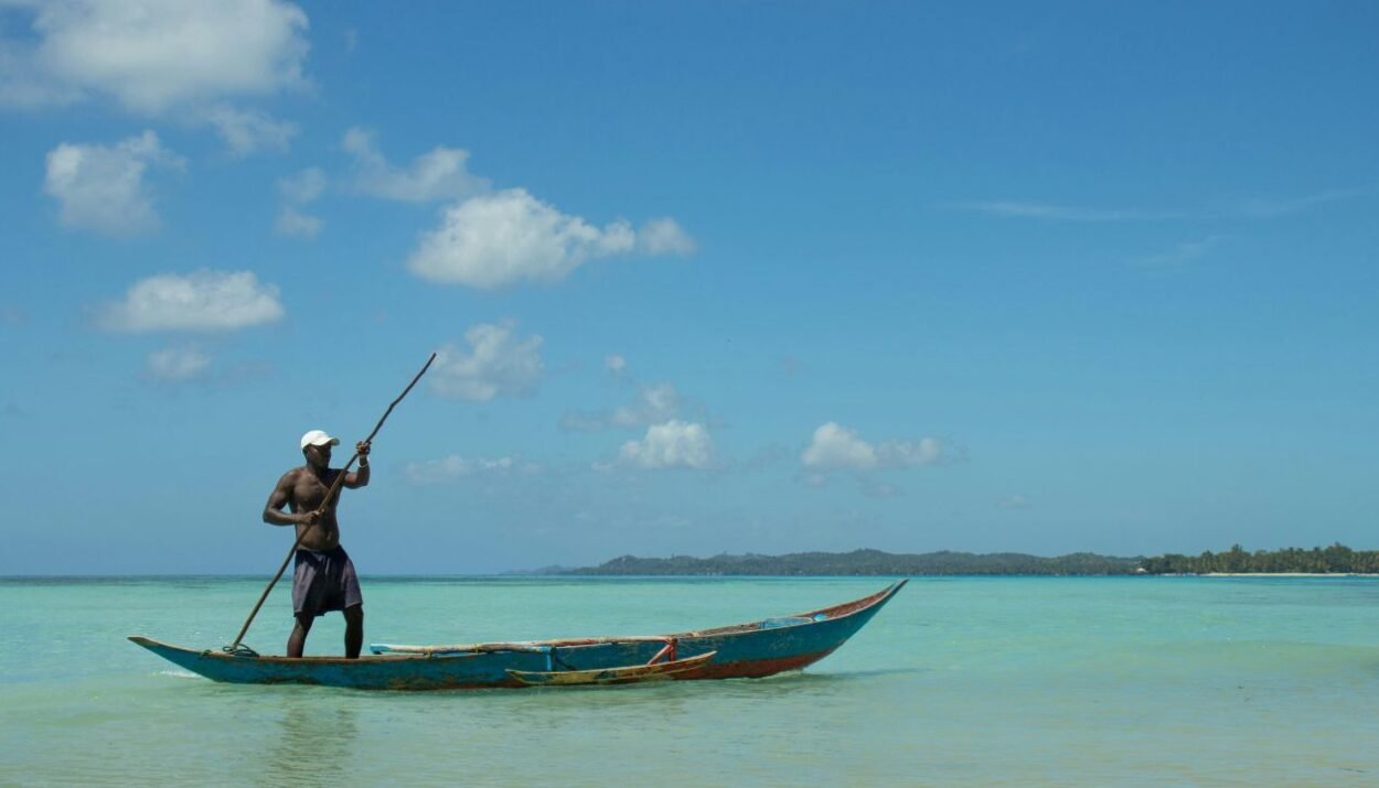 Scopri lemuri, fossa e aye-aye tra Kirindy e Palmarium: due riserve uniche per vivere la natura più autentica del Madagascar - ViaggiareNews