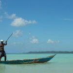 Scopri lemuri, fossa e aye-aye tra Kirindy e Palmarium: due riserve uniche per vivere la natura più autentica del Madagascar - ViaggiareNews