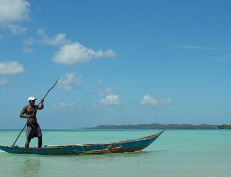 Scopri lemuri, fossa e aye-aye tra Kirindy e Palmarium: due riserve uniche per vivere la natura più autentica del Madagascar - ViaggiareNews