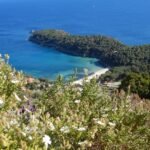 Isola d'Elba, le escursioni 2026