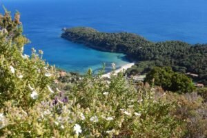 Isola d'Elba, le escursioni 2026