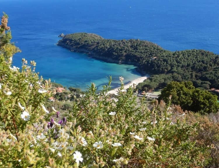 Isola d'Elba, le escursioni 2026