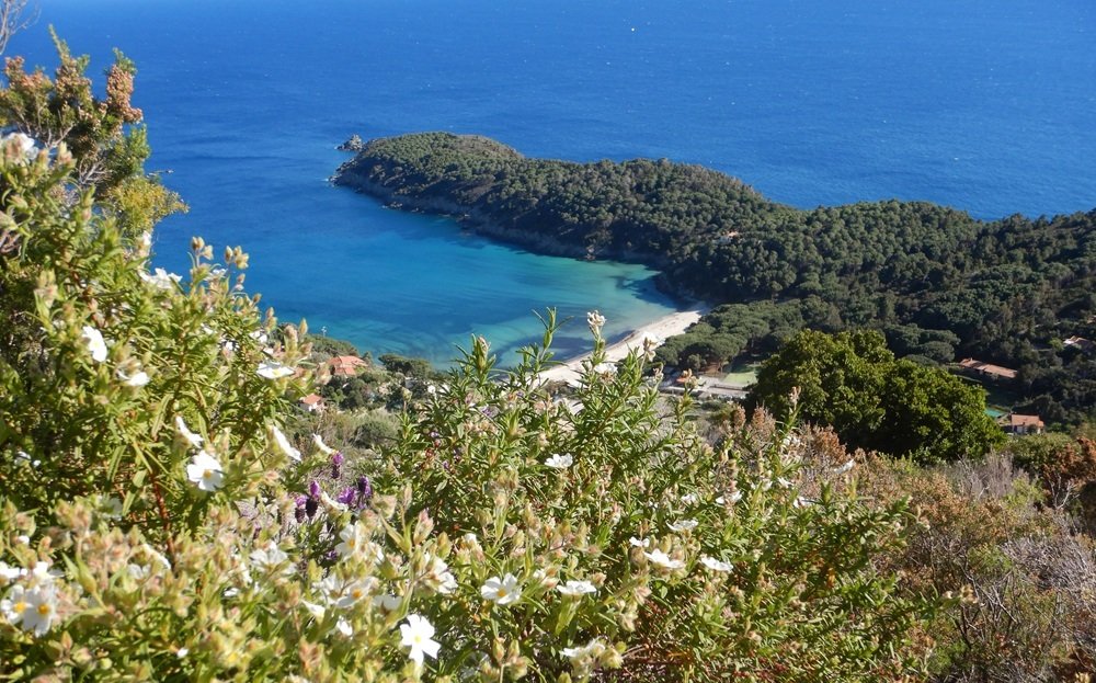 Isola d'Elba, le escursioni 2026