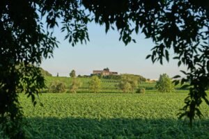 viaggiarenews Villa Cordevigo Vinitaly 2026