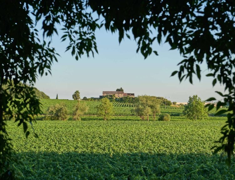 La proposta di Villa Cordevigo in occasione di Vinitaly 2026