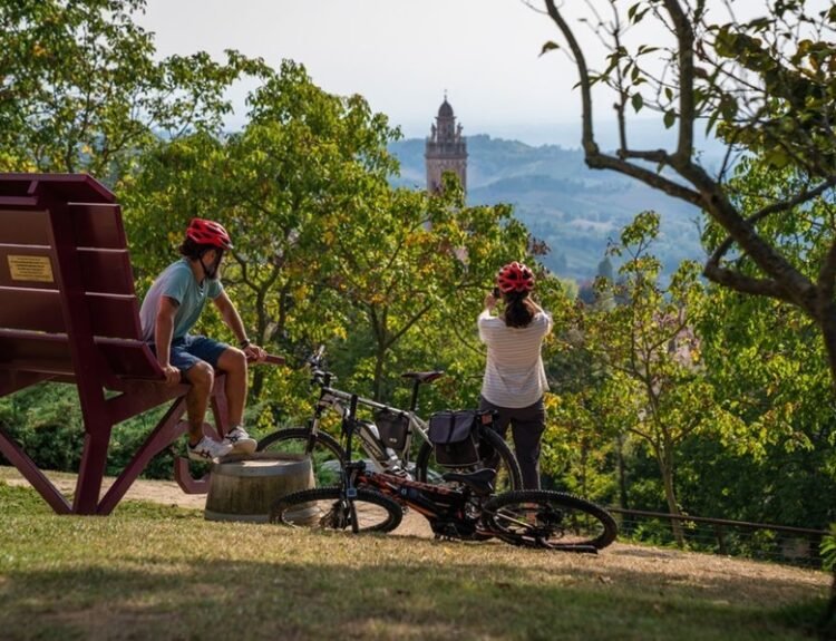 Langhe Monferrato Roero