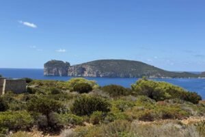 viaggiarenews AllTrails