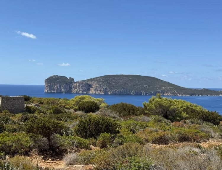 viaggiarenews AllTrails