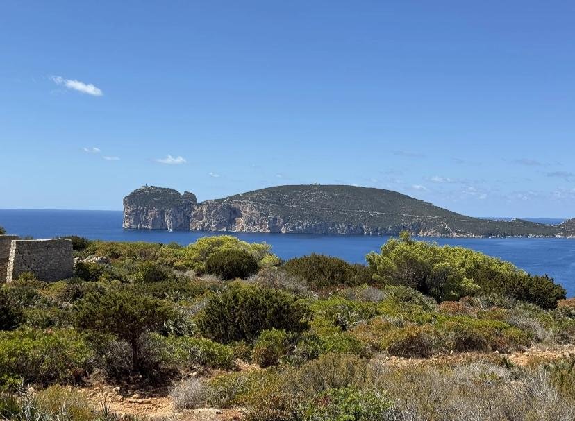 viaggiarenews AllTrails