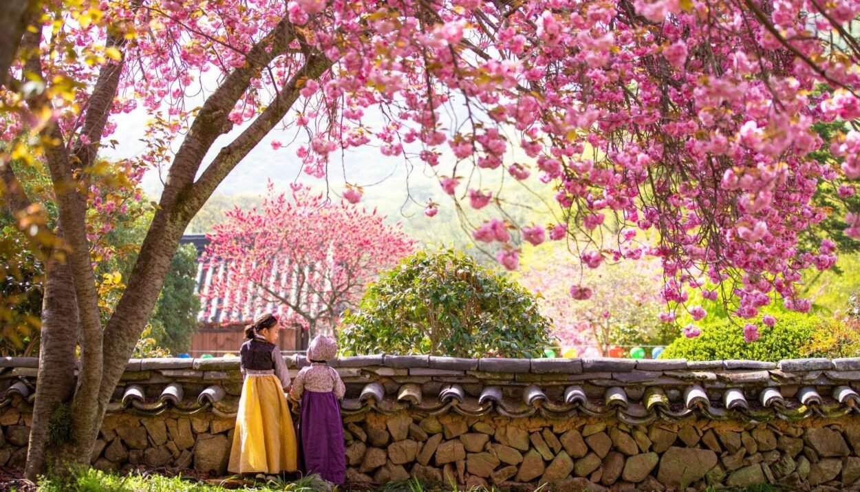 viaggiarenews Corea del Sud