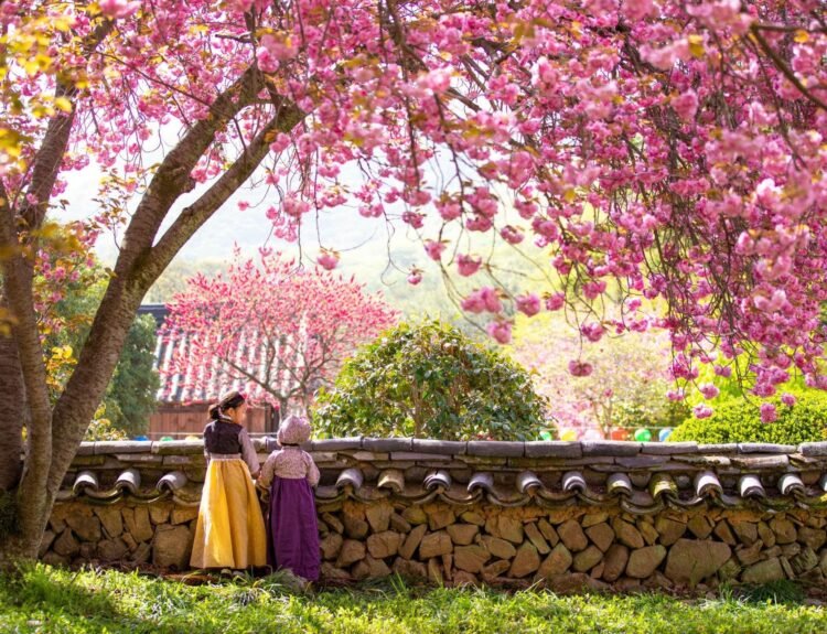 viaggiarenews Corea del Sud