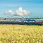 viaggiarenews Treni storici Fondazione FS