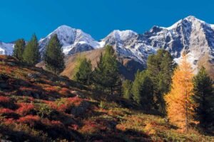 viaggiarenews Autunno a Trafoi