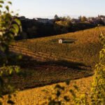 viaggiarenews Langhe Monferrato Roero in autunno