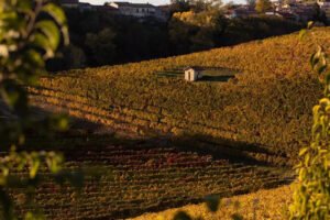 viaggiarenews Langhe Monferrato Roero in autunno