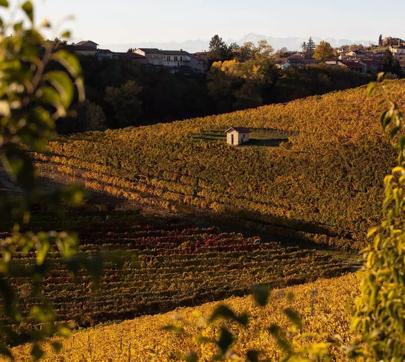 viaggiarenews Langhe Monferrato Roero in autunno