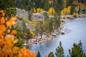 Mammoth Lakes, il foliage d’autunno in California