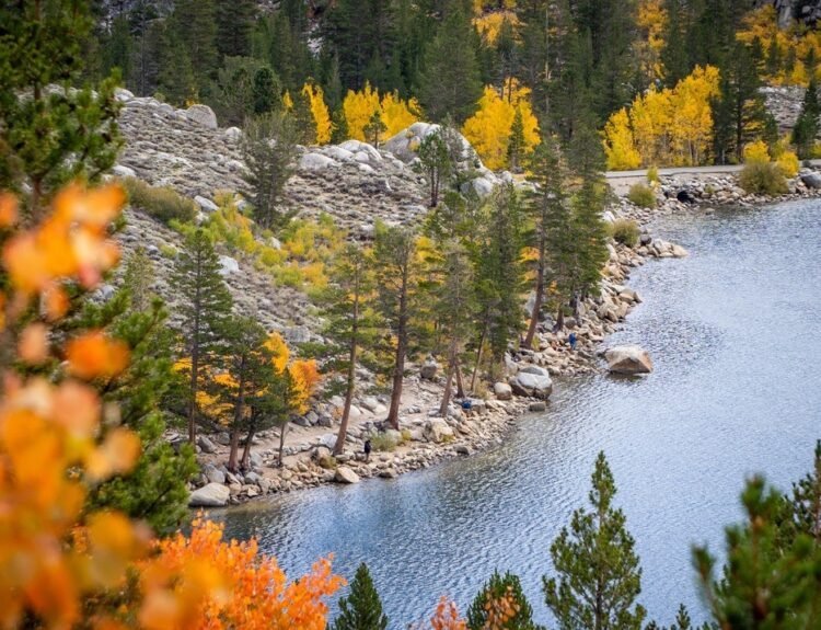 Mammoth Lakes, il foliage d’autunno in California