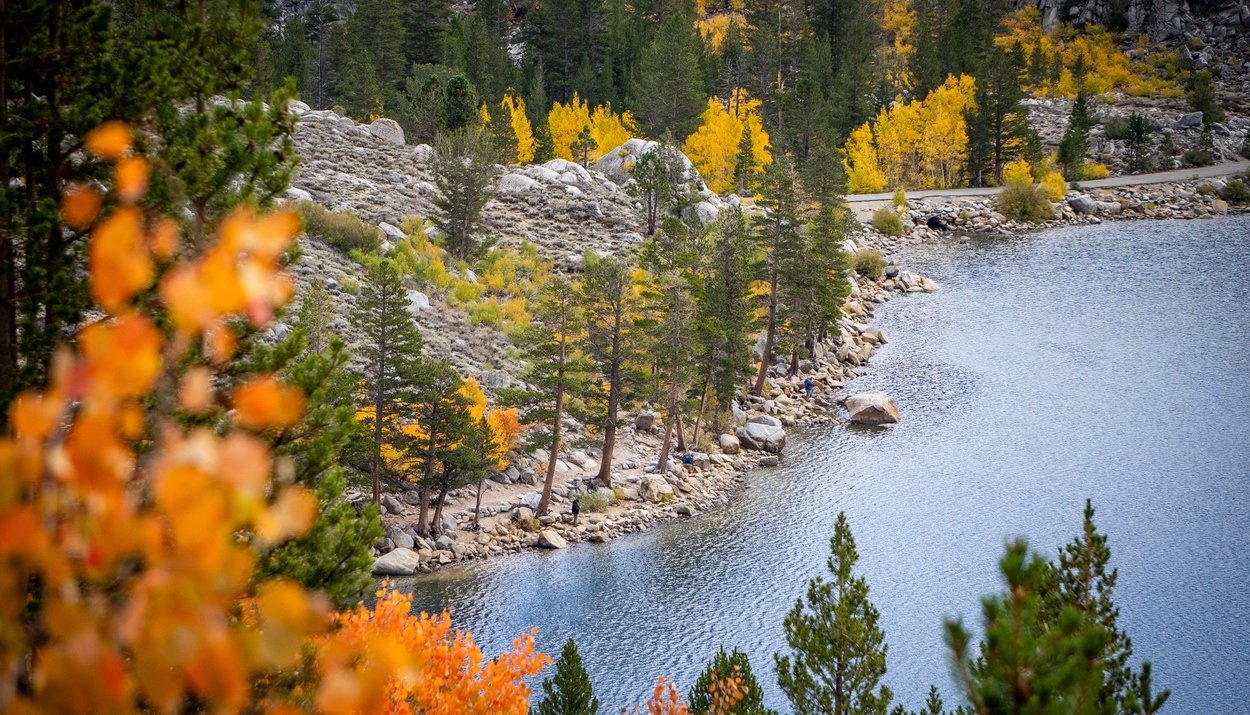 Mammoth Lakes, il foliage d’autunno in California