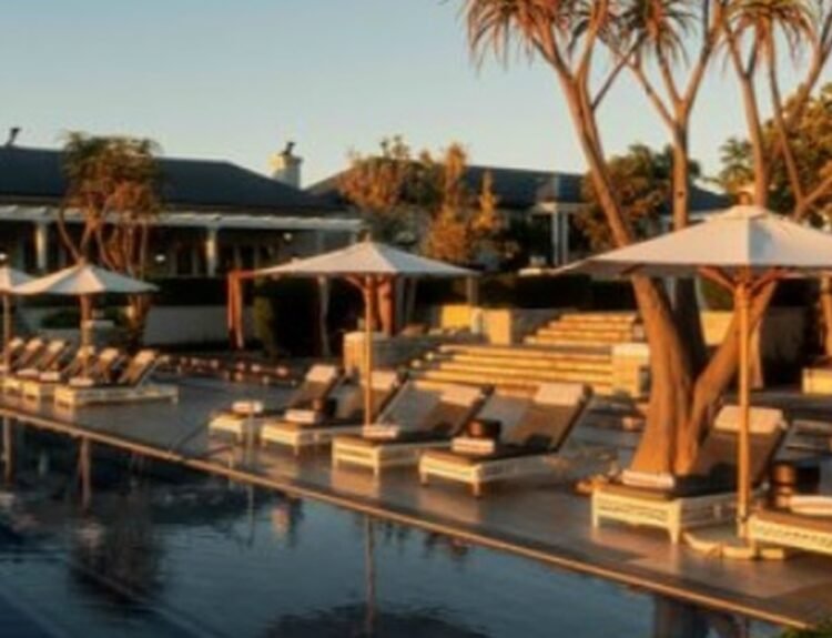 Shamwari: il Sudafrica più autentico tra safari e città