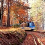 Treno del Foliage sulla Vigezzina-Centovalli: torna lo spettacolo d’autunno