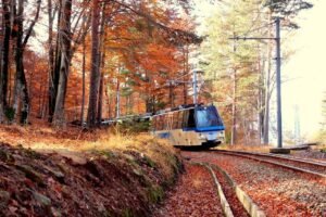 Treno del Foliage sulla Vigezzina-Centovalli: torna lo spettacolo d’autunno