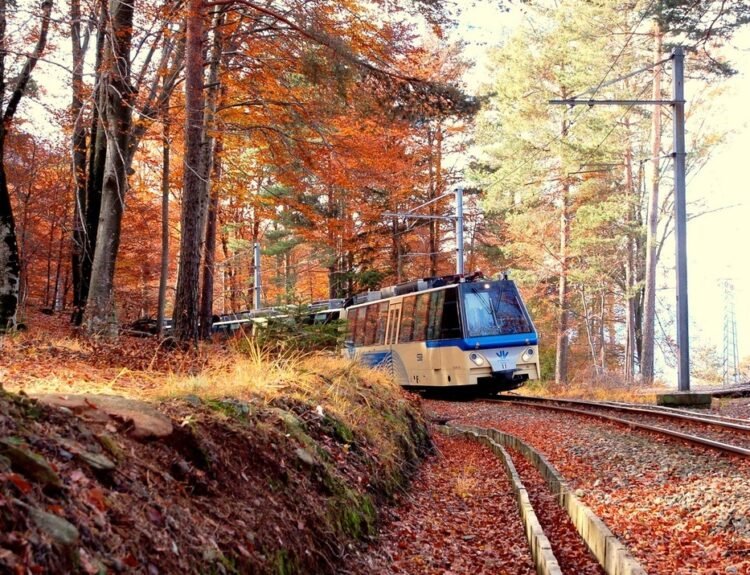 Treno del Foliage sulla Vigezzina-Centovalli: torna lo spettacolo d’autunno