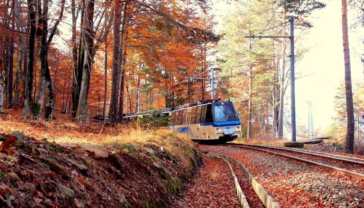 Treno del Foliage sulla Vigezzina-Centovalli: torna lo spettacolo d'autunno