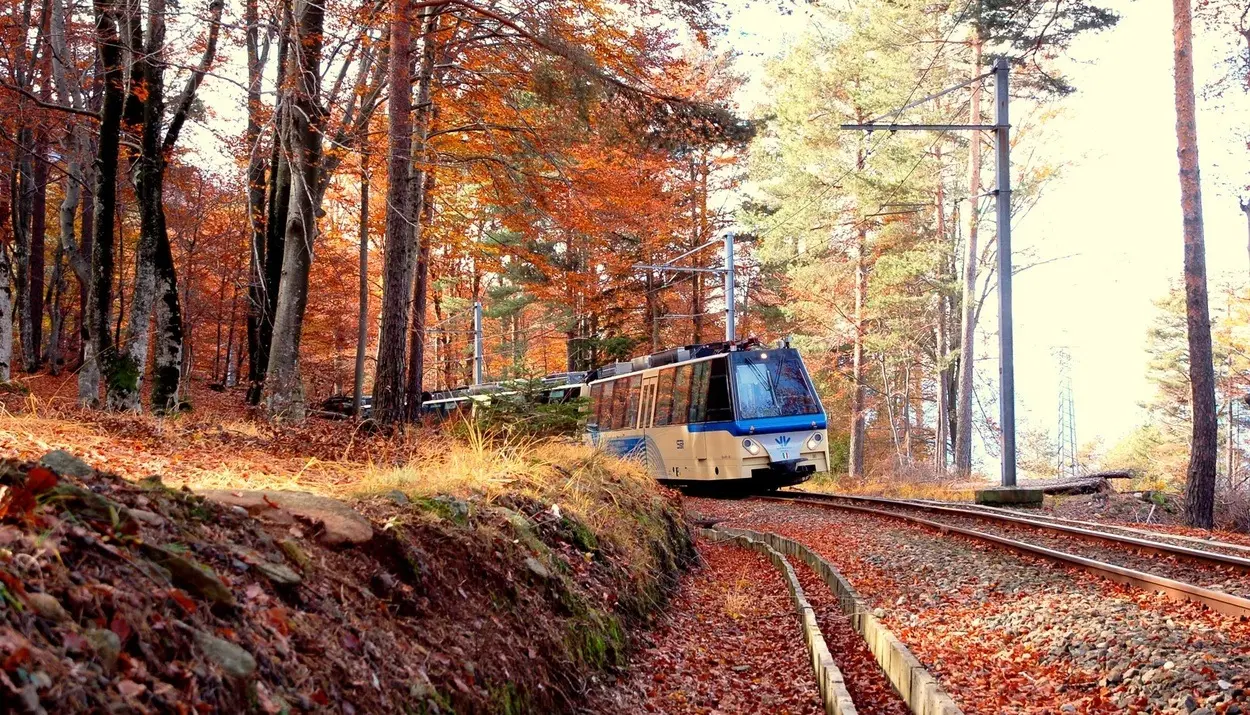 Treno del Foliage sulla Vigezzina-Centovalli: torna lo spettacolo d’autunno