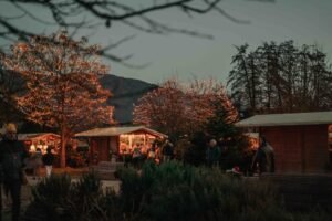 viaggiarenews Polvere di Stelle a Lana